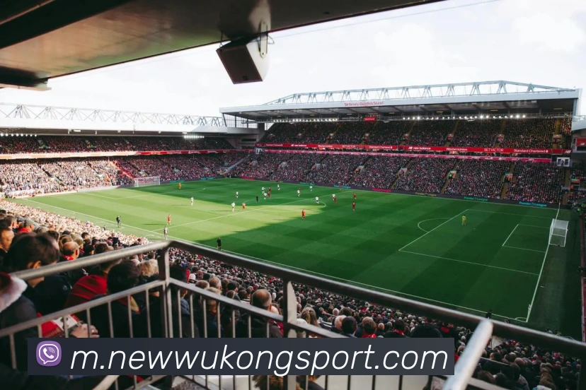 悟空体育APP 封面图