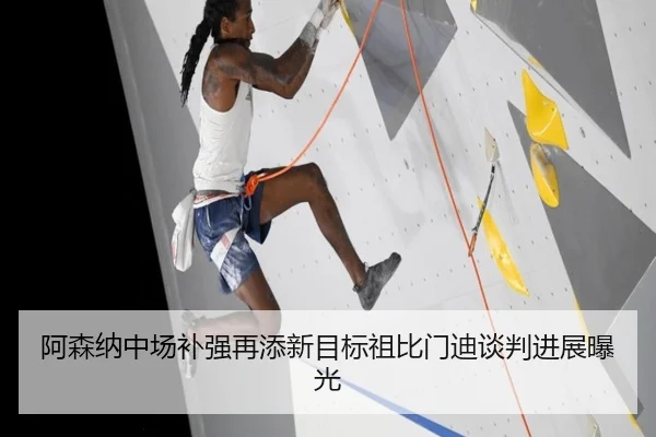 阿森纳中场补强再添新目标祖比门迪谈判进展曝光 - WukongSports